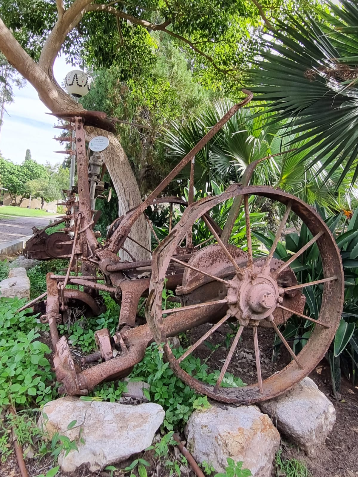 יצירות חוה וצבי אגמי (17)